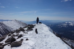 dsc09194_orig
