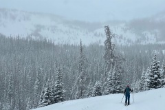 IMG_2396
